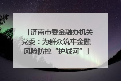 济南市委金融办机关党委：为群众筑牢金融风险防控“护城河”