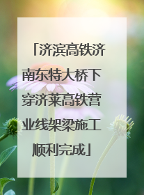 济滨高铁济南东特大桥下穿济莱高铁营业线架梁施工顺利完成