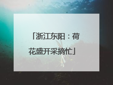 浙江东阳：荷花盛开采摘忙