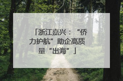 浙江嘉兴：“侨力护航”助企高质量“出海”