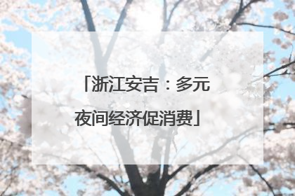浙江安吉：多元夜间经济促消费
