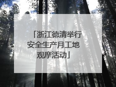 浙江德清举行安全生产月工地观摩活动