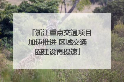 浙江重点交通项目加速推进 区域交通圈建设再提速