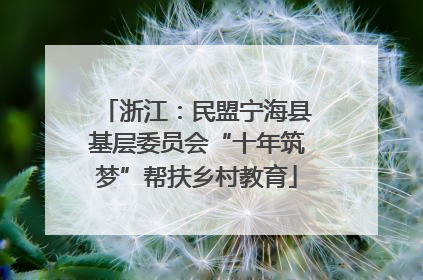 浙江：民盟宁海县基层委员会“十年筑梦”帮扶乡村教育