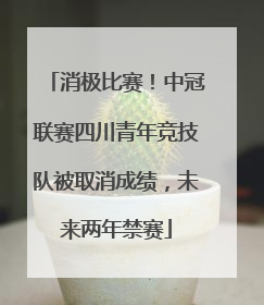 消极比赛!中冠联赛四川青年竞技队被取消成绩,未来两年禁赛