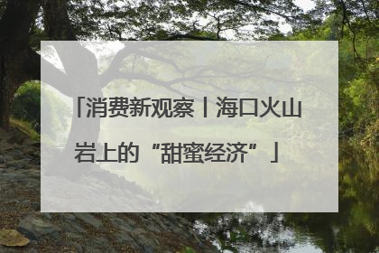 消费新观察丨海口火山岩上的“甜蜜经济”