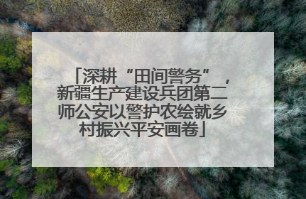 深耕“田间警务”，新疆生产建设兵团第二师公安以警护农绘就乡村振兴平安画卷