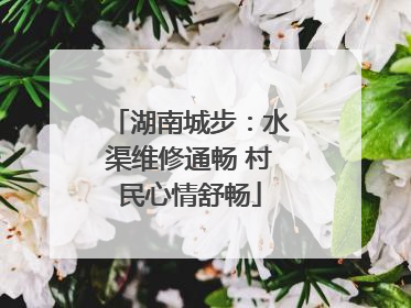 湖南城步：水渠维修通畅 村民心情舒畅