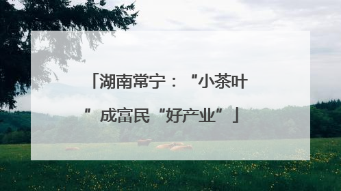 湖南常宁：“小茶叶”成富民“好产业”
