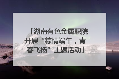 湖南有色金属职院开展“粽情端午，青春飞扬”主题活动
