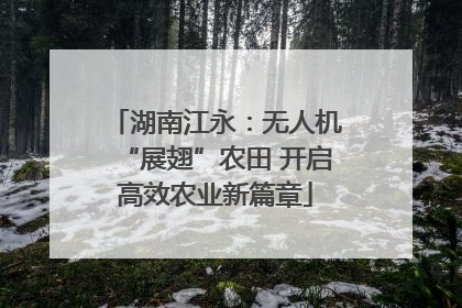 湖南江永：无人机“展翅”农田 开启高效农业新篇章