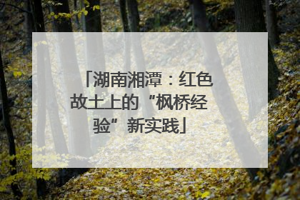 湖南湘潭：红色故土上的“枫桥经验”新实践