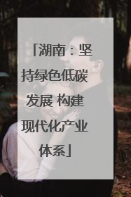 湖南：坚持绿色低碳发展 构建现代化产业体系