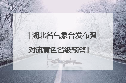 湖北省气象台发布强对流黄色省级预警