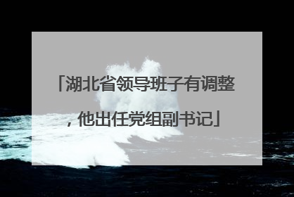 湖北省领导班子有调整，他出任党组副书记