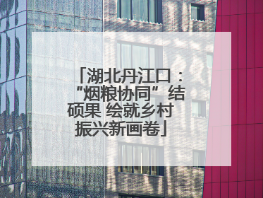 湖北丹江口：“烟粮协同”结硕果 绘就乡村振兴新画卷