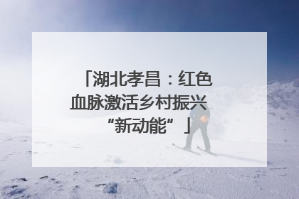 湖北孝昌：红色血脉激活乡村振兴“新动能”