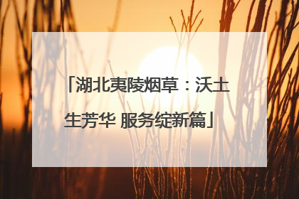 湖北夷陵烟草：沃土生芳华 服务绽新篇