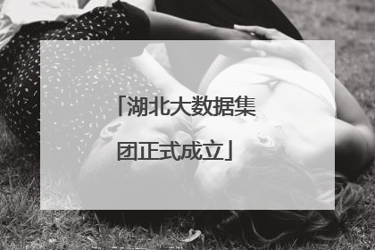 湖北大数据集团正式成立