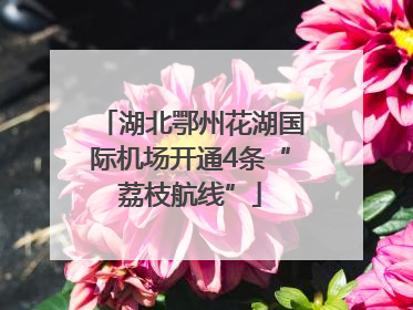 湖北鄂州花湖国际机场开通4条“荔枝航线”