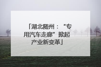 湖北随州：“专用汽车走廊”掀起产业新变革