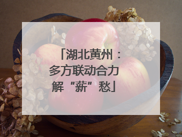 湖北黄州：多方联动合力解“薪”愁