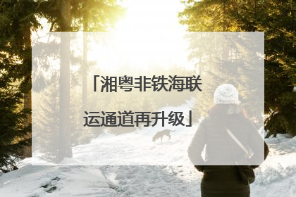 湘粤非铁海联运通道再升级