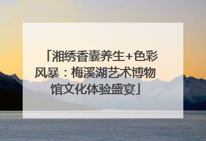 湘绣香囊养生+色彩风暴：梅溪湖艺术博物馆文化体验盛宴