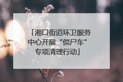 湘口街道环卫服务中心开展“僵尸车”专项清理行动