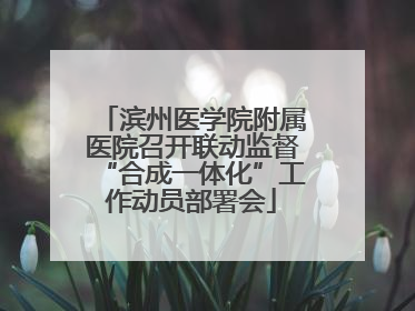 滨州医学院附属医院召开联动监督“合成一体化”工作动员部署会