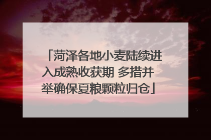 菏泽各地小麦陆续进入成熟收获期 多措并举确保夏粮颗粒归仓