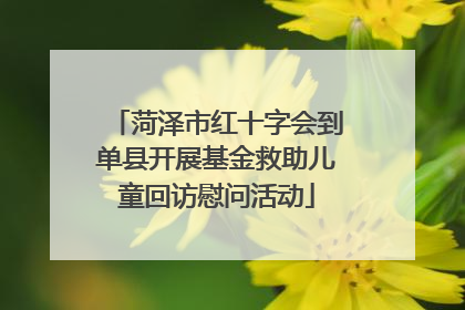 菏泽市红十字会到单县开展基金救助儿童回访慰问活动