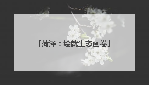 菏泽：绘就生态画卷