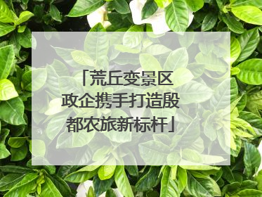 荒丘变景区 政企携手打造殷都农旅新标杆