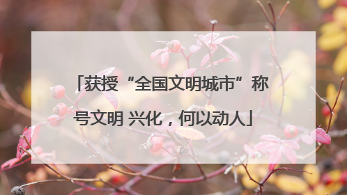 获授“全国文明城市”称号文明 兴化，何以动人