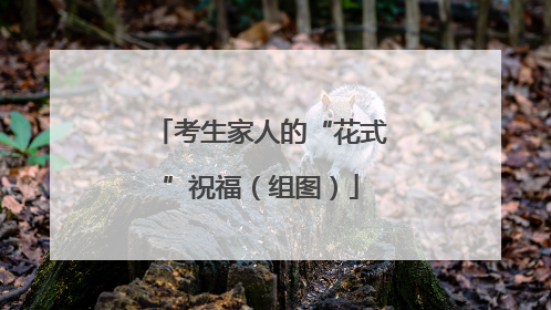 考生家人的“花式”祝福（组图）