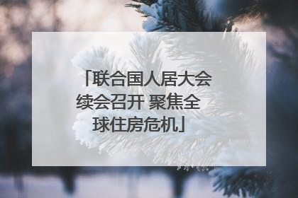 联合国人居大会续会召开 聚焦全球住房危机