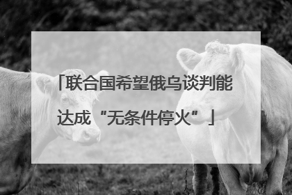 联合国希望俄乌谈判能达成“无条件停火”