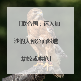 联合国：运入加沙的大部分面粉遭劫掠或哄抢