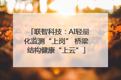 联智科技：AI轻量化监测“上岗” 桥梁结构健康“上云”
