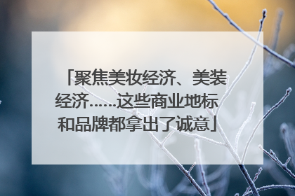 聚焦美妆经济、美装经济……这些商业地标和品牌都拿出了诚意