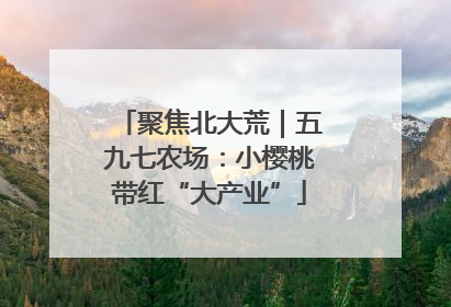 聚焦北大荒｜五九七农场：小樱桃带红“大产业”