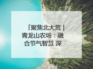 聚焦北大荒｜青龙山农场：融合节气智慧 深耕安全沃土