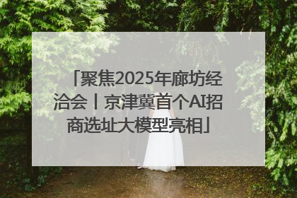聚焦2025年廊坊经洽会丨京津冀首个AI招商选址大模型亮相