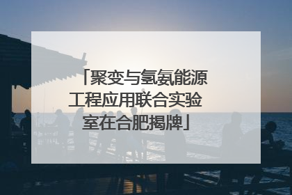 聚变与氢氨能源工程应用联合实验室在合肥揭牌