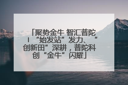 聚势金牛 智汇普陀〡“始发站”发力、“创新田”深耕，普陀科创“金牛”闪耀