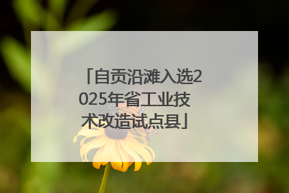 自贡沿滩入选2025年省工业技术改造试点县