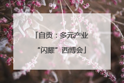 自贡：多元产业“闪耀”西博会