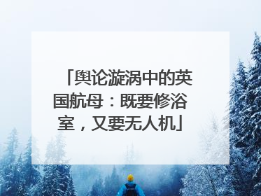 舆论漩涡中的英国航母：既要修浴室，又要无人机