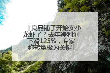 良品铺子开始卖小龙虾了？去年净利润下滑125%，专家称转型极为关键